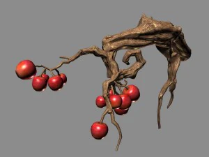 empty mulberry - small tree 01 3D Model