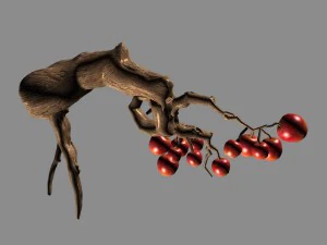 empty mulberry - small tree 01 3D Model