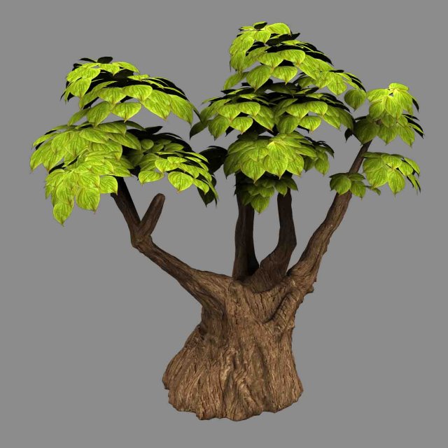 empty mulberry - small tree -02 Modelo 3D .c4d .max .obj .3ds .fbx .stl .blend 