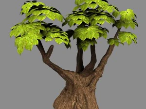 gelso vuoto - alberello -02 Modello 3D