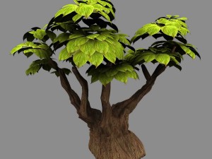 empty mulberry - small tree -02 Modelo 3D