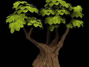 boş dut - k&uuml;&ccedil;&uuml;k ağa&ccedil; -02 3D Model