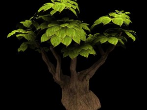 empty mulberry - small tree -02 Modelo 3D