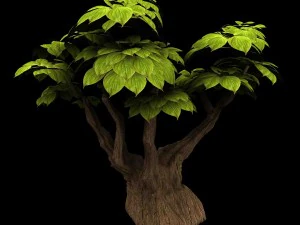 boş dut - k&uuml;&ccedil;&uuml;k ağa&ccedil; -02 3D Model