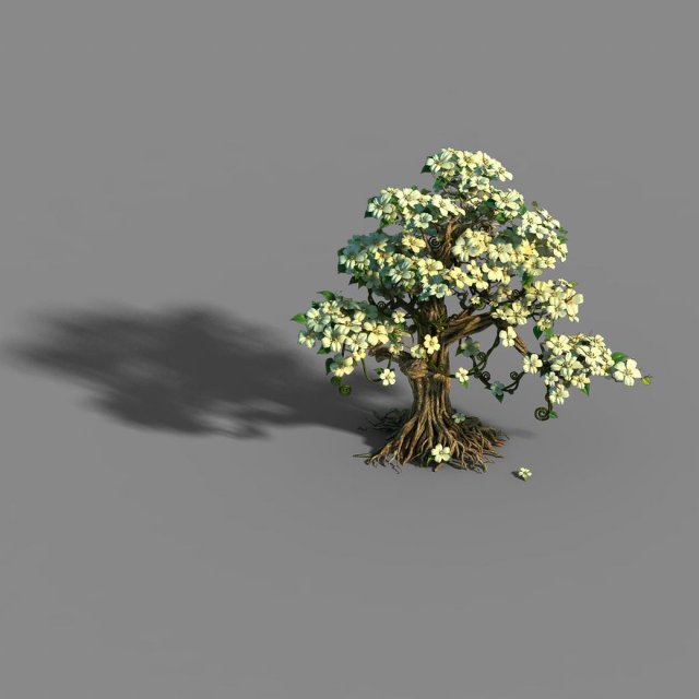 lanruo temple - plants - white tree 01 3D Model .c4d .max .obj .3ds .fbx .stl .blend 