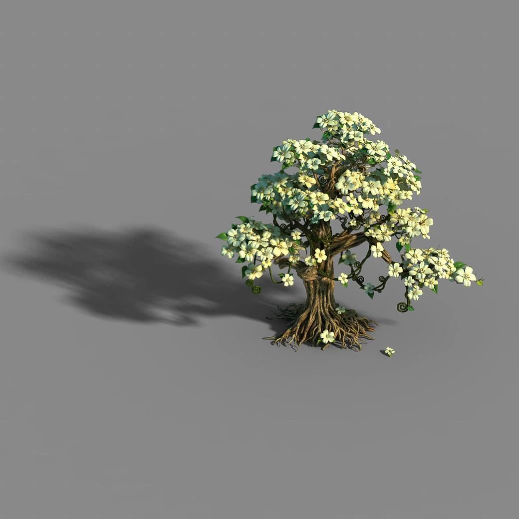 lanruo temple - plants - white tree 01 3D Model .c4d .max .obj .3ds .fbx .stl .blend