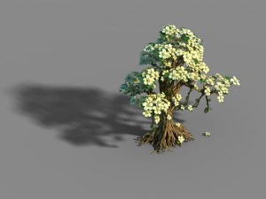 lanruo temple - plants - white tree 01 3D Model