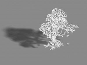 lanruo temple - plants - white tree 01 3D Model
