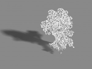 lanruo temple - plants - white tree 01 3D Model