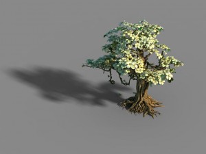 lanruo temple - plants - white tree 01 3D Model