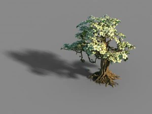 lanruo temple - plants - white tree 01 3D Model