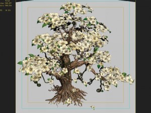 lanruo temple - plants - white tree 01 3D Model