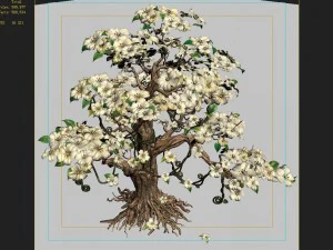 lanruo temple - plants - white tree 01 3D Model