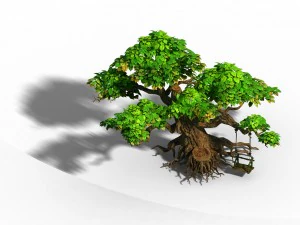 liuli island - big tree 01 3D Model