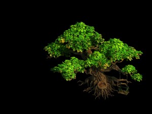 liuli island - big tree 01 3Dモデル
