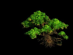 liuli island - big tree 01 3D Model