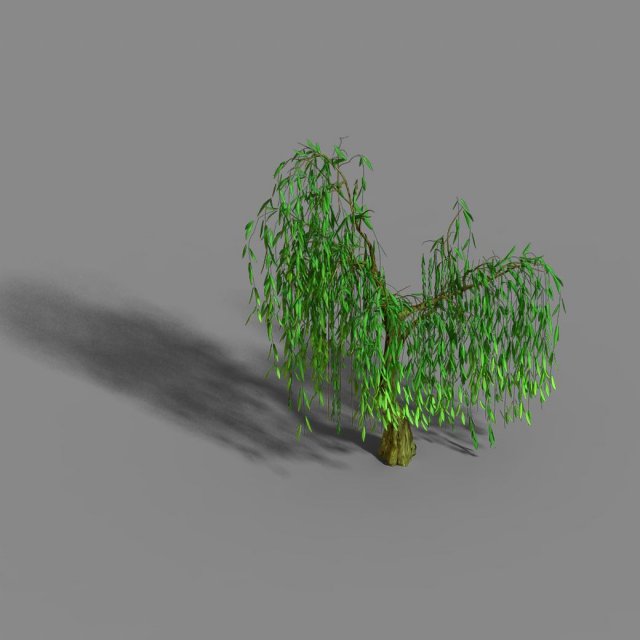 liuli island - willow 01 3D Model .c4d .max .obj .3ds .fbx .stl .blend 