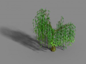 liuli island - willow 01 3D Model