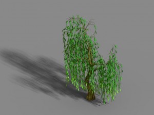 liuli island - willow 01 3D Model