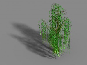 liuli island - willow 01 3D Model