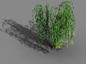 liuli island - willow 01 3D Model