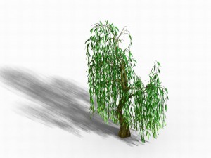 liuli island - willow 01 3D Model
