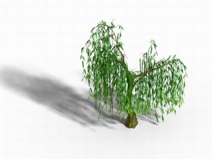 liuli island - willow 01 3D Model