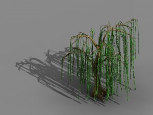 liuli island - willow 02 3D Model