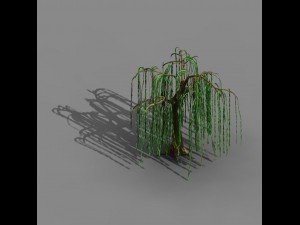 liuli island - willow 02 Model 3D