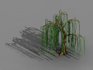 liuli island - willow 02 Model 3D