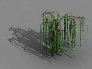 liuli island - willow 02 Model 3D