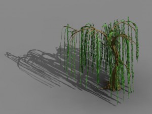 liuli island - willow 02 Model 3D