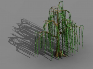 liuli island - willow 02 Model 3D