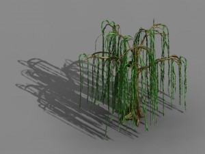 liuli island - willow 02 Model 3D