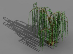 liuli island - willow 02 Model 3D