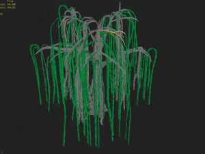 liuli island - willow 02 3D Model