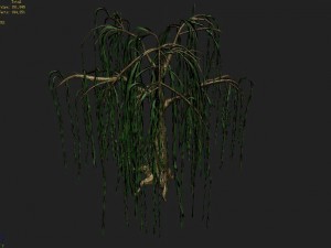 liuli island - willow 02 Model 3D