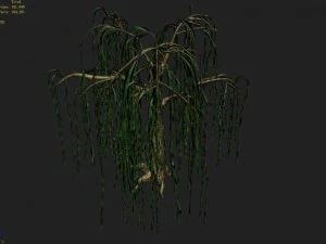 liuli island - willow 02 3D Model