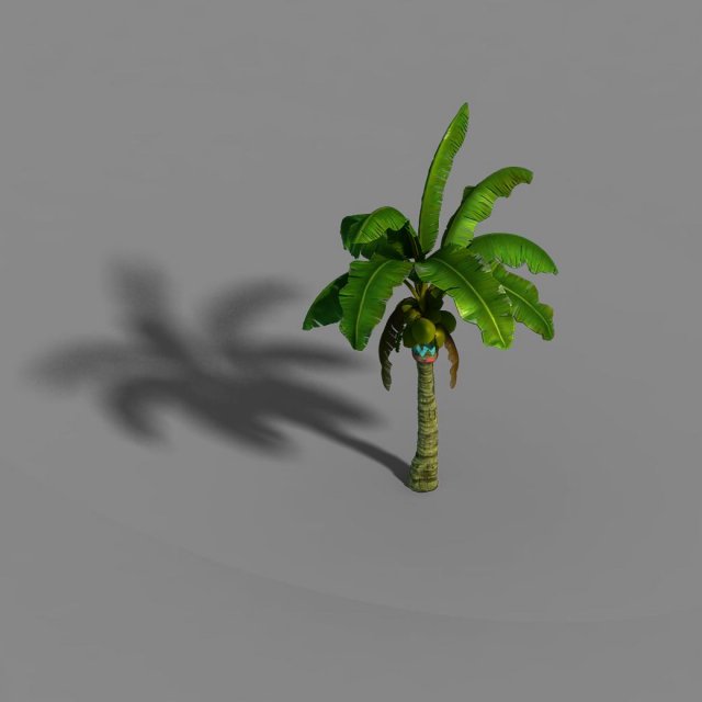 liuli island - coconut tree 01 3D Model .c4d .max .obj .3ds .fbx .stl .blend 