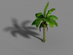liuli island - coconut tree 01 3Dモデル