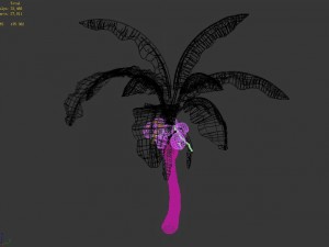 liuli island - coconut tree 01 3D Model