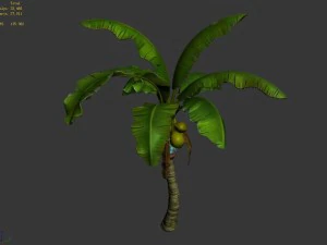liuli island - coconut tree 01 3D Model