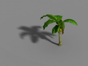 liuli island - coconut tree 02 3D Модель