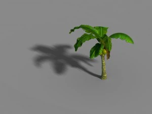 liuli island - coconut tree 02 3D Model