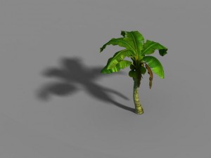 liuli island - coconut tree 02 3D Модель