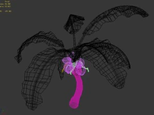 liuli island - coconut tree 02 3D Model