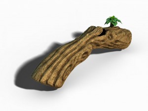 south qilian - inverted wood Modèle 3D