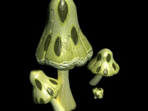 southern qilian - plant 01 3D 모델