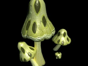 southern qilian - plant 01 3D Model