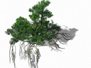 mountain hengshan - dry tree 01 3D Model